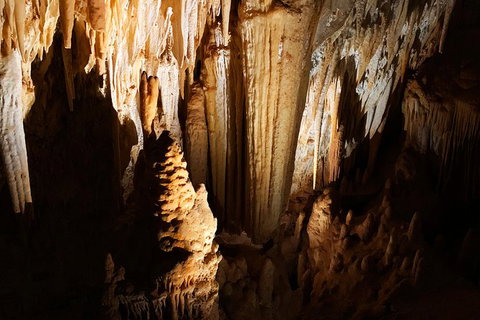Margaret River (Private) Day Tour - Attractions Perth 16
