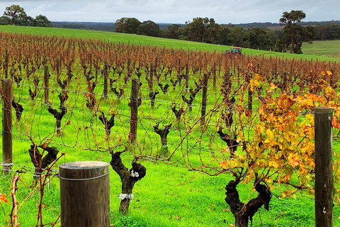 Margaret River (Private) Day Tour - Attractions Perth 8