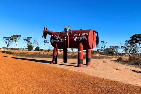The Big Wave Rock (Private) Day Tour - Attractions Perth 12