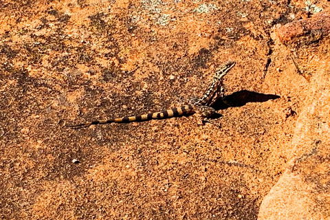 The Big Wave Rock (Private) Day Tour - Attractions Perth 4