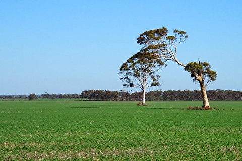 The Big Wave Rock (Private) Day Tour - Attractions Perth 13