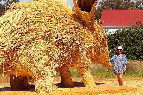 The Big Wave Rock (Private) Day Tour - Attractions Perth 16