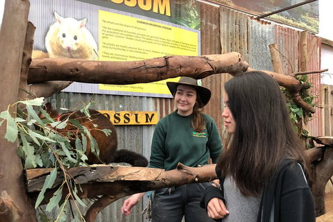 Perth Hills - Wildlife, Art & Gastronomy - Attractions Perth 4
