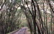 3d/2n Themed Camping Getaway - Private Campgrounds And National Parks - thumb 9