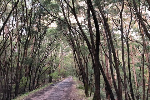 3d/2n Themed Camping Getaway - Private Campgrounds And National Parks - Attractions Perth 9