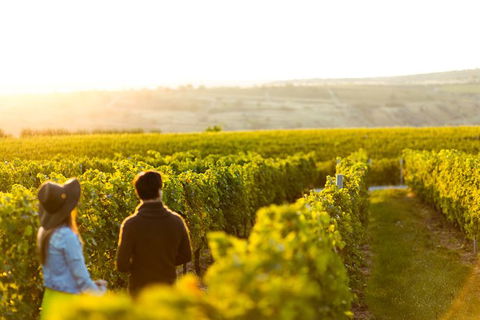 Margaret River Private Tour - Attractions Perth 2