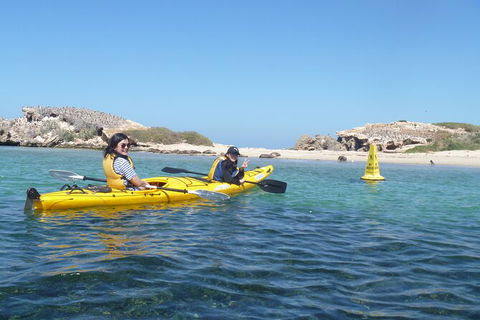 Seal Island And Penguin Island Or Point Peron Sea Kayak Tour - Attractions Perth 3