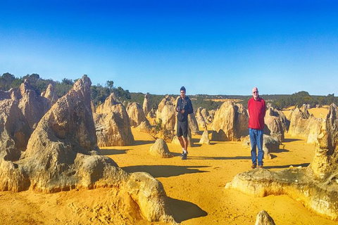 Pinnacles Day Trip Including Yanchep, Cave, Cervantes And Scarborough Beach - Attractions Perth 1