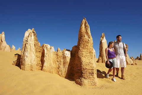 4-Day Coastal Loop Via Monkey Mia Wild Dolphins Kalbarri Pinnacles Perth Return - Attractions Perth 4