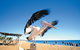 4-Day Coastal Loop Via Monkey Mia Wild Dolphins Kalbarri Pinnacles Perth Return - thumb 12