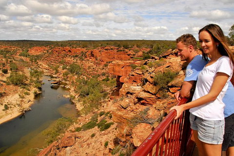 4-Day Coastal Loop Via Monkey Mia Wild Dolphins Kalbarri Pinnacles Perth Return - Attractions Perth 11