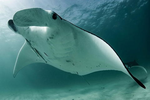 6-Day Coral Coaster From Perth To Exmouth One-Way Via Monkey Mia Ningaloo Reef - Attractions Perth 1