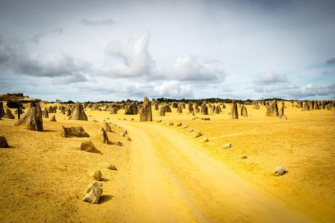 1 Day Pinnacles, Wildlife & Sandboarding - Attractions Perth 0