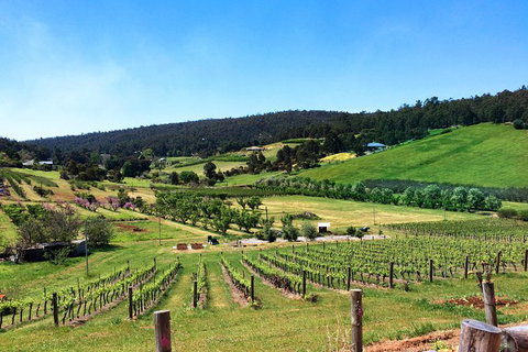 Cider, Wine & Cheese In The Perth Hills - Half-Day Premium Small Group Tour - Attractions Perth 1
