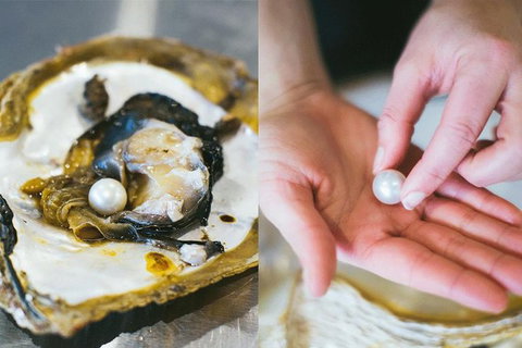 Pearl Master Class â€“ Perth - Attractions Perth 3