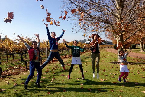 Swan Valley Half-Day Food And Wine Tasting Tour - Attractions Perth 8