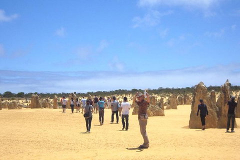 Pinnacles & Rottnest Island Scenic Air & Ground Tour - Attractions Perth 10