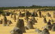 Pinnacles & Rottnest Island Scenic Air & Ground Tour - thumb 6