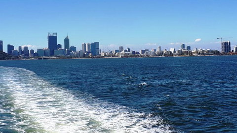 Swan River Scenic Cruise - Attractions Perth 2