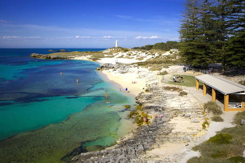 Rottnest Island Fast Ferry From Hillarys Boat Harbour Including Bike Hire - Attractions Perth 1