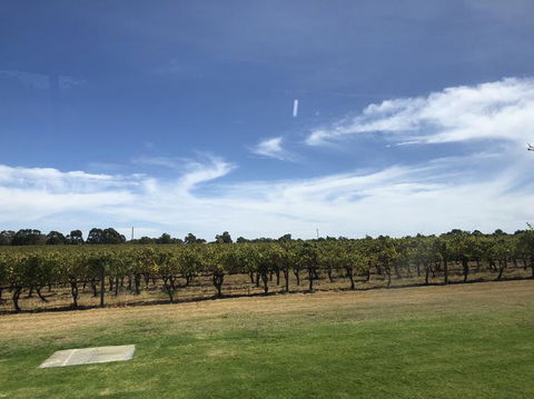 Swan Valley River Cruise And Wine Tasting Day Trip From Perth - Attractions Perth 10