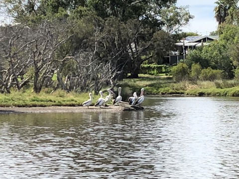 Swan Valley River Cruise And Wine Tasting Day Trip From Perth - Attractions Perth 3