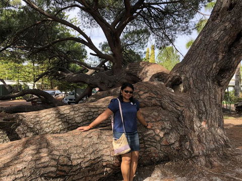 Swan Valley River Cruise And Wine Tasting Day Trip From Perth - Attractions Perth 9