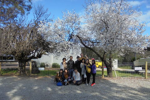 Swan Valley River Cruise And Wine Tasting Day Trip From Perth - Attractions Perth 15