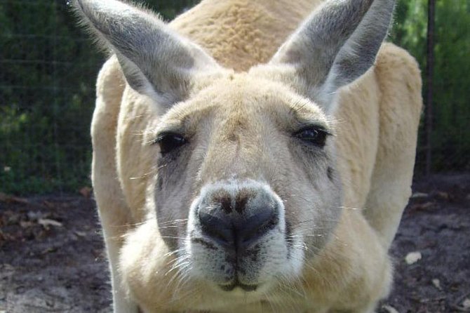 Discover Perth Full Day Tour Perth