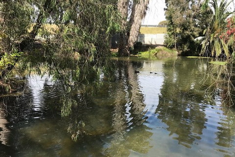 Perth East Foreshore And City Segway Tour - Attractions Perth 4