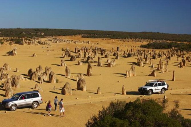 1-Day Pinnacles and Yanchep Tour from Perth including Fish and Chips Lunch Perth
