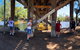 Reflections On The Swan (Private) Day Tour - thumb 7