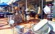 Reflections On The Swan (Private) Day Tour - thumb 4