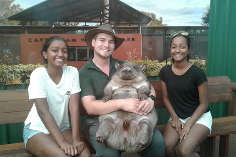 Pinnacles Mustang V8 Full Day Including Swan Valley, Caversham Wildlife Park - Attractions Perth 1