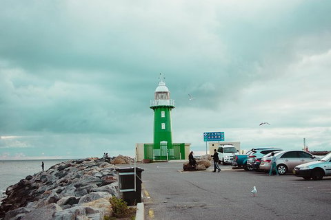 Penguin Island And Fremantle - Canoe, Chocolate & Coffee - Attractions Perth 1