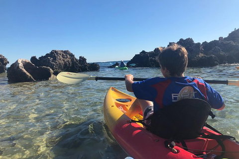 Penguin Island And Fremantle - Canoe, Chocolate & Coffee - Attractions Perth 0