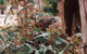 Yanchep & Lancelin - Wildlife, Cave And Sands - thumb 5