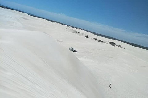 Yanchep & Lancelin - Wildlife, Cave And Sands - Attractions Perth 3