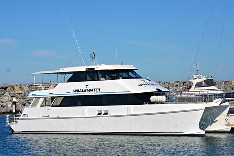 Whale-Watching Tour From Augusta Or Perth With Optional Captain\'s Lounge Upgrade - Attractions Perth 1