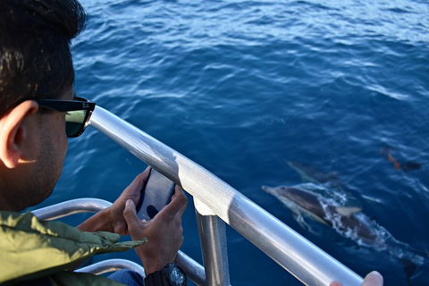 Whale-Watching Tour From Augusta Or Perth With Optional Captain\'s Lounge Upgrade - Attractions Perth 9