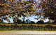 Wine Tasting Day Trip And Swan Valley River Cruise To Perth - thumb 5