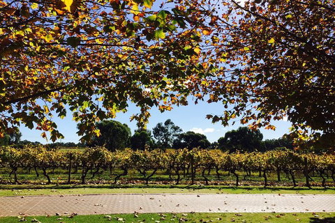 Wine Tasting Day Trip And Swan Valley River Cruise To Perth - Attractions Perth 5