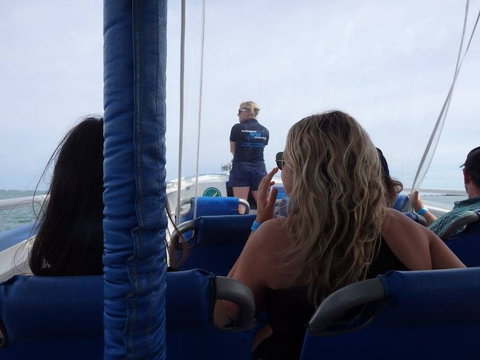 Penguin Island Tour With Dolphin And Sea Lion Cruise - Attractions Perth 2