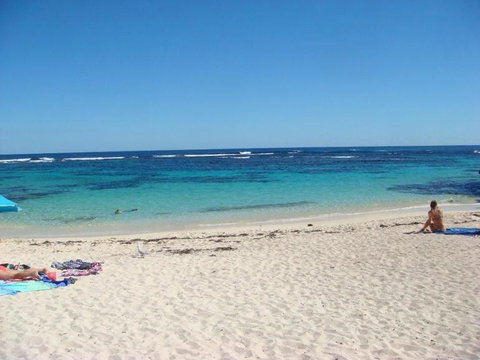 Rottnest Island With Bike Hire From Perth Or Fremantle - Attractions Perth 13