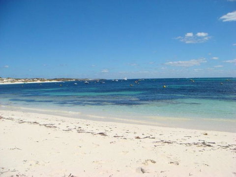 Rottnest Island With Bike Hire From Perth Or Fremantle - Attractions Perth 24