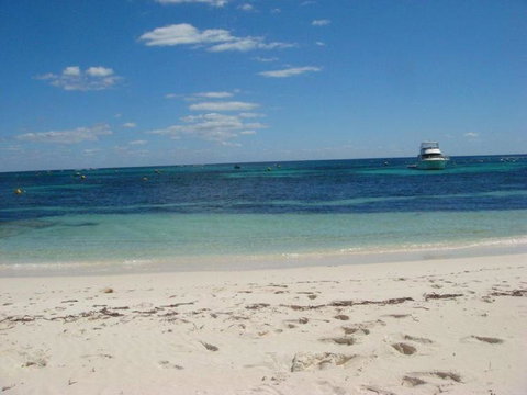 Rottnest Island With Bike Hire From Perth Or Fremantle - Attractions Perth 25