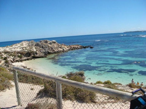 Rottnest Island With Bike Hire From Perth Or Fremantle - Attractions Perth 23
