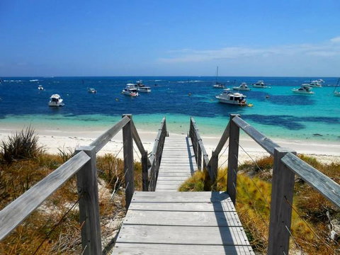 Rottnest Island With Bike Hire From Perth Or Fremantle - Attractions Perth 10