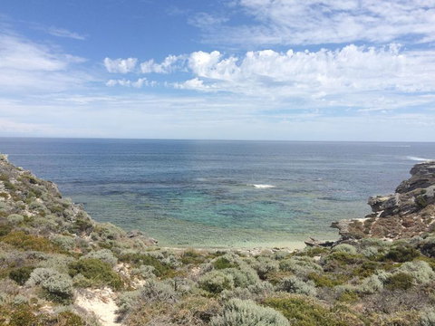Rottnest Island With Bike Hire From Perth Or Fremantle - Attractions Perth 2