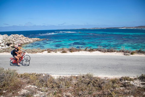 Rottnest Island With Bike Hire From Perth Or Fremantle - Attractions Perth 27